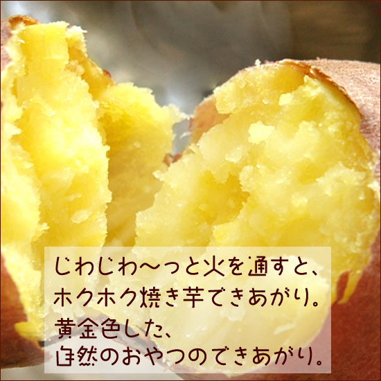 自然のおやつ鳴門金時