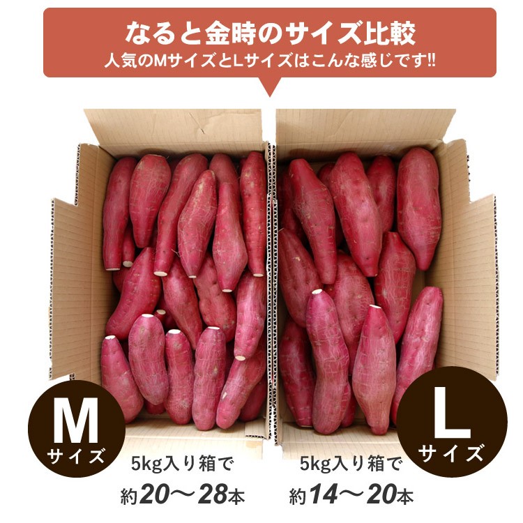 なると金時のサイズについて1