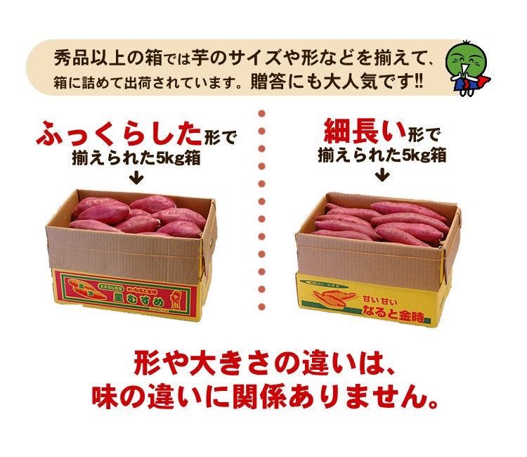 なると金時のサイズについて3