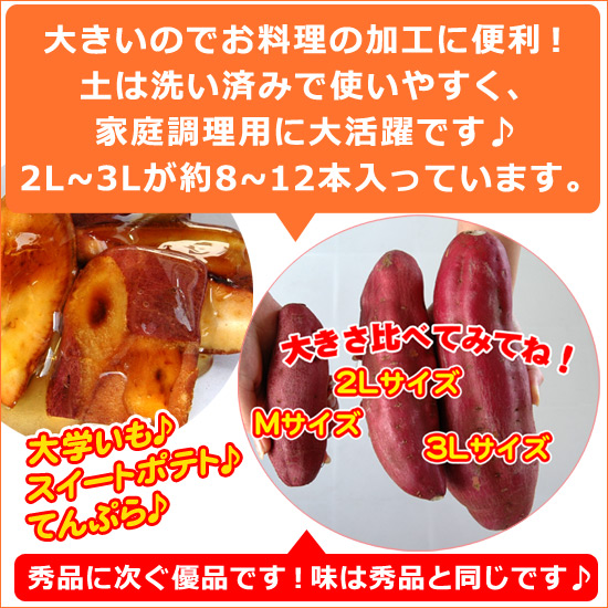 さつまいも ふぞろいのなると金時 2L〜3Lの大きいサイズ 5kg箱入り さつまいも ふぞろいのなると金時 2L〜3Lの大きいサイズ 5kg箱入り