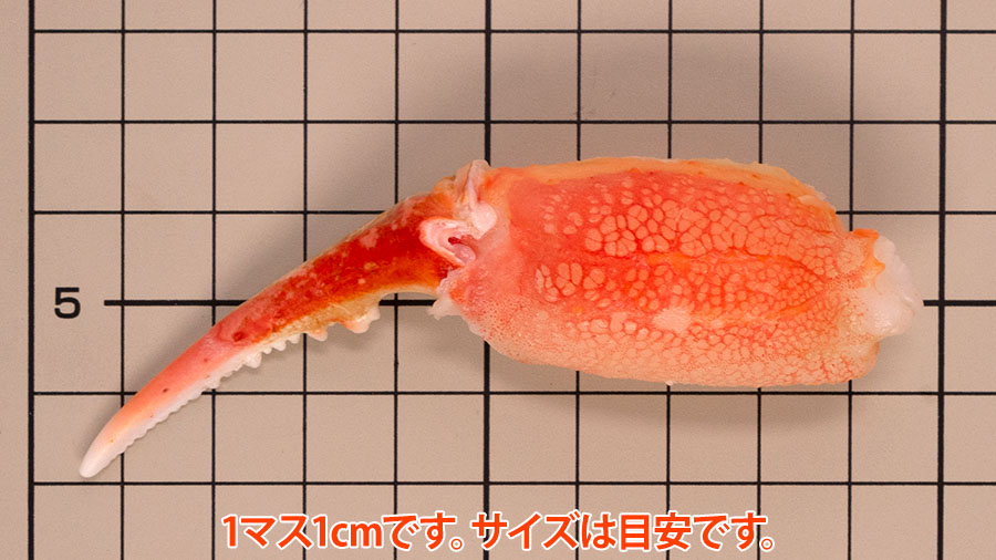 蟹爪冷凍盛付け