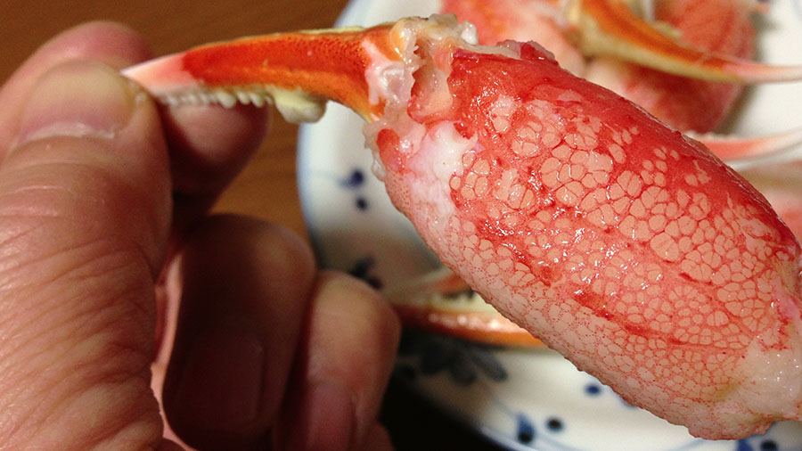 蟹爪手持ち