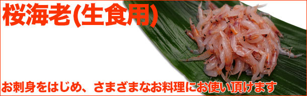 桜えびげ看板