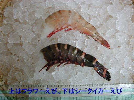 フラワーえびとの比較