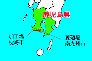 白姫えび 鹿児島県
