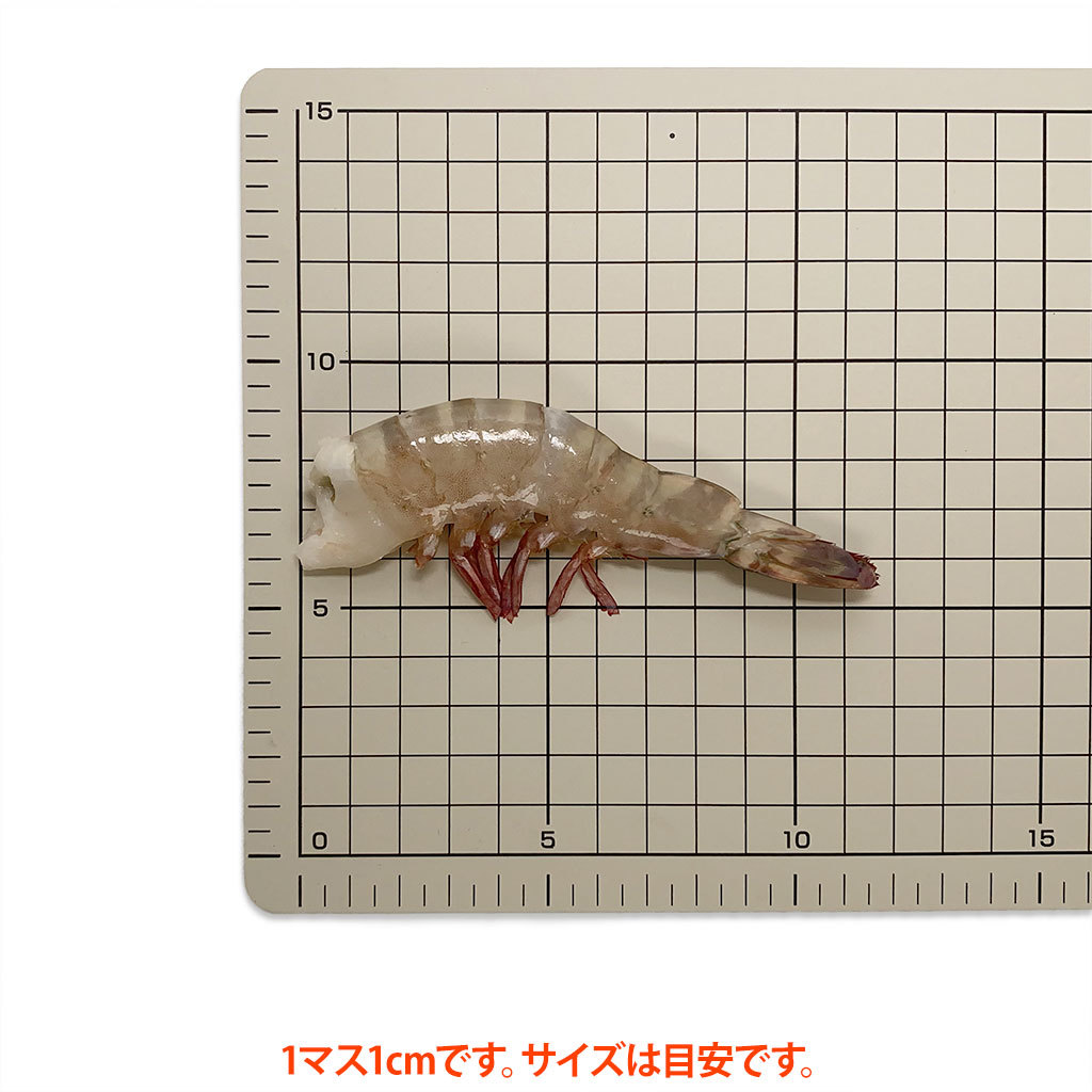 フラワーえび16/30