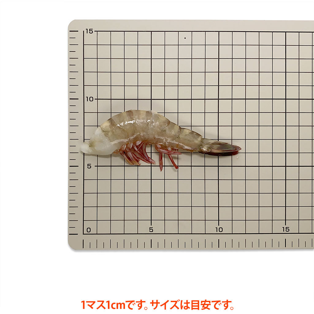 フラワーえび21/25