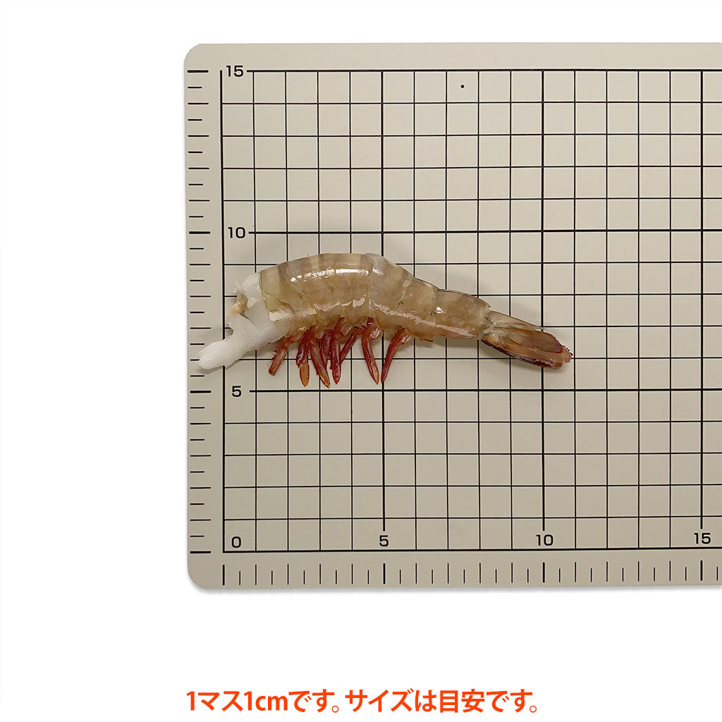 フラワーえび31/40
