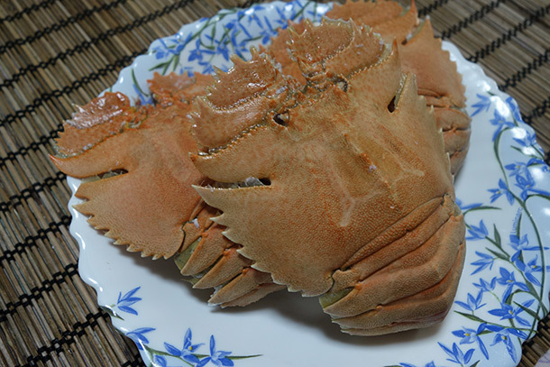 うちわ海老盛り付け例