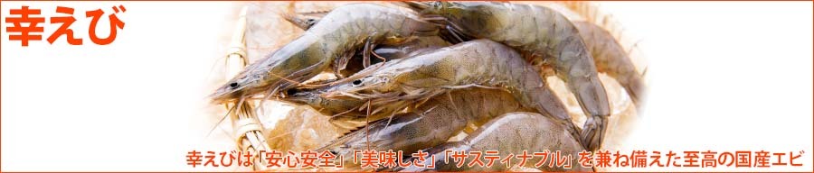 幸えび看板