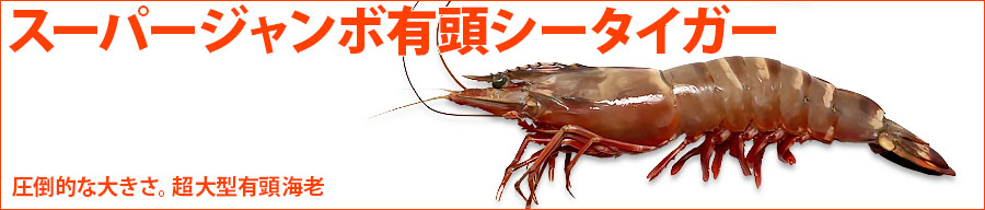 スーパー・ジャンボ有頭シータイガー看板