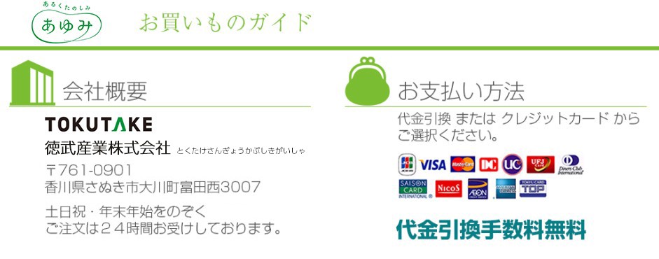 介護シューズ あゆみシューズ 公式 介護靴 ダブルマジック3 合皮 (3E