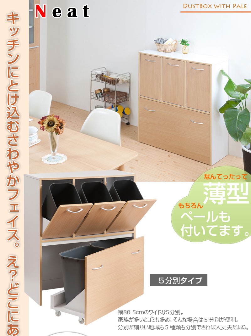 正規品販売! キッチンシリーズCalm ダストボックス5分別 ペール付き 幅80 ブラウン ホワイト スリム 奥行32 間仕切り 隙間収納 ゴミ箱 ダスト カウンター下 14L 大容量 キッチン 一人暮らし キッチンラック 薄型 ハイカウンター 台所 trumbullcampbell.com
