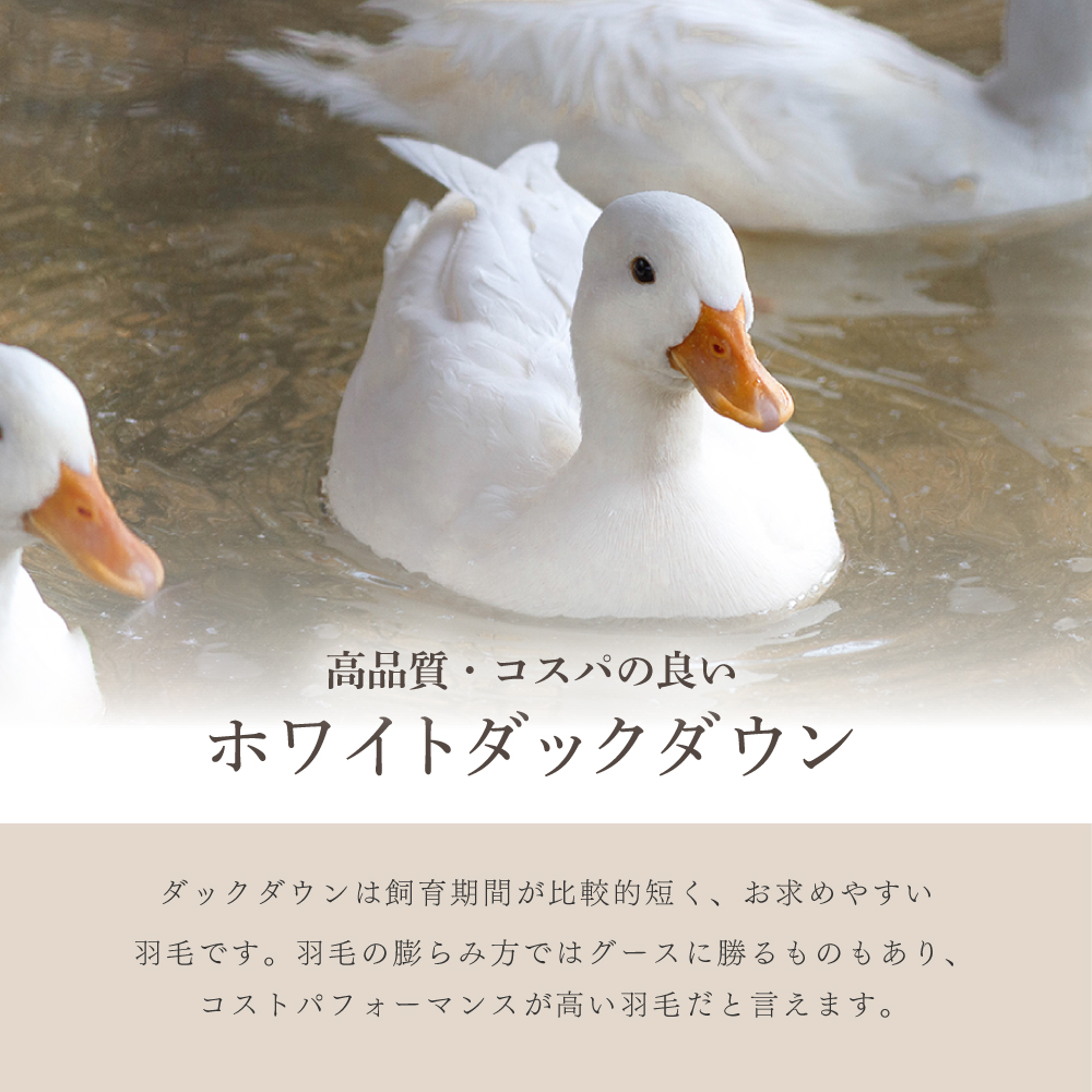 合い掛け羽毛布団 シングルロング 150×210cm ホワイトダックダウン85％ 0.8kg入り エクセルゴールドラベル 350dp以上 立体キルト 春秋用 オールシーズン 日本製_2