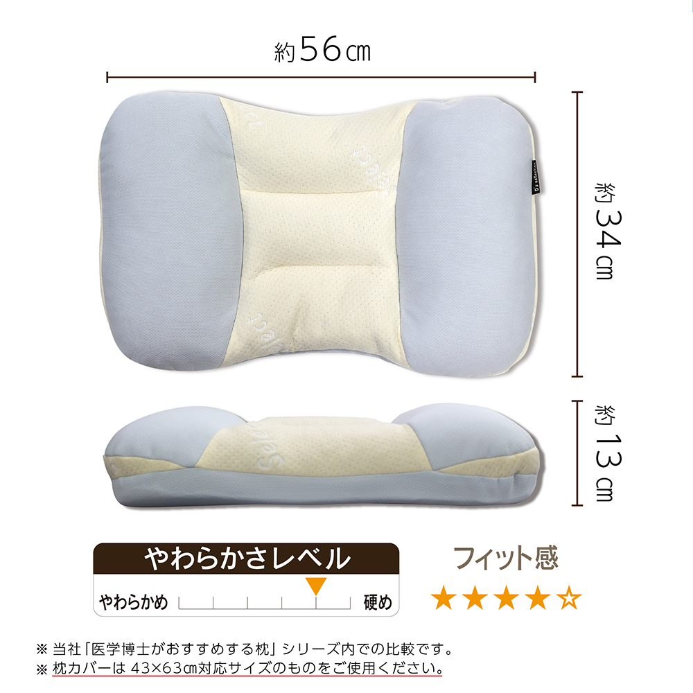 H＆J PREMIUM 乳酸菌 H＆J・I・N 90包 / エイチジンブルー 高