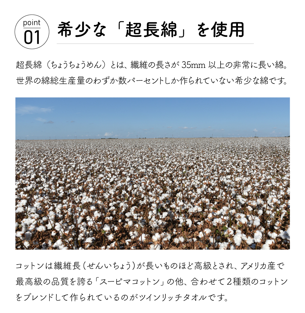ツインリッチ バスタオル 10枚セット 60×120cm 超長綿使用 厚手_9