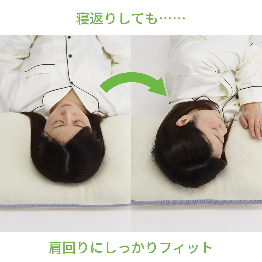 まくらくらま BOTANICAL DISEASE 植物患者　限定ペーパー付き まくら くらま on X: 