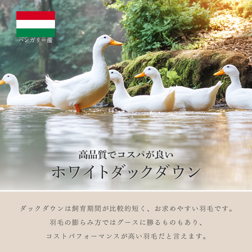 羽毛布団 シングルロングサイズ 約150×210cm ハンガリー産ホワイト