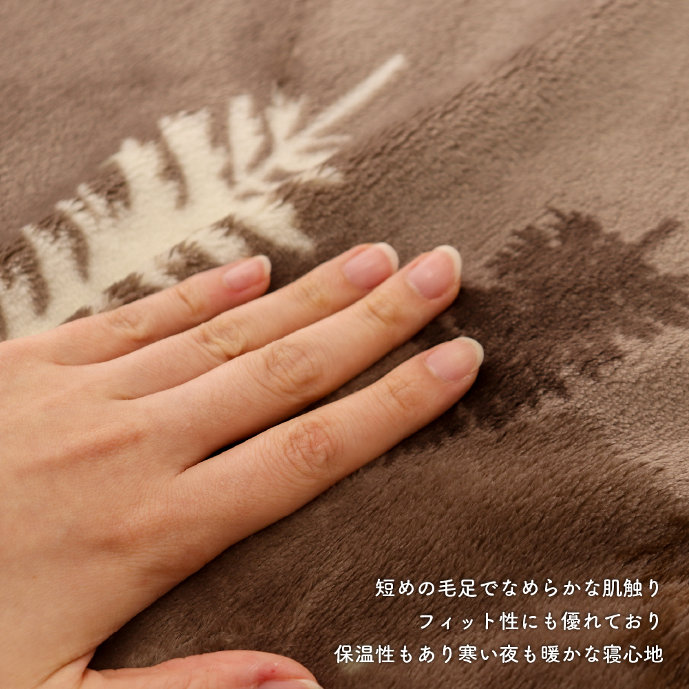 あったかニューマイヤー毛布 シングルサイズ 約140×200cm 一重毛布
