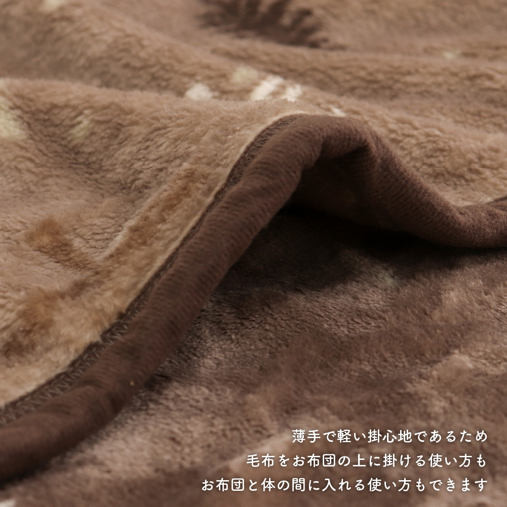 あったかニューマイヤー毛布 シングルサイズ 約140×200cm 一重毛布