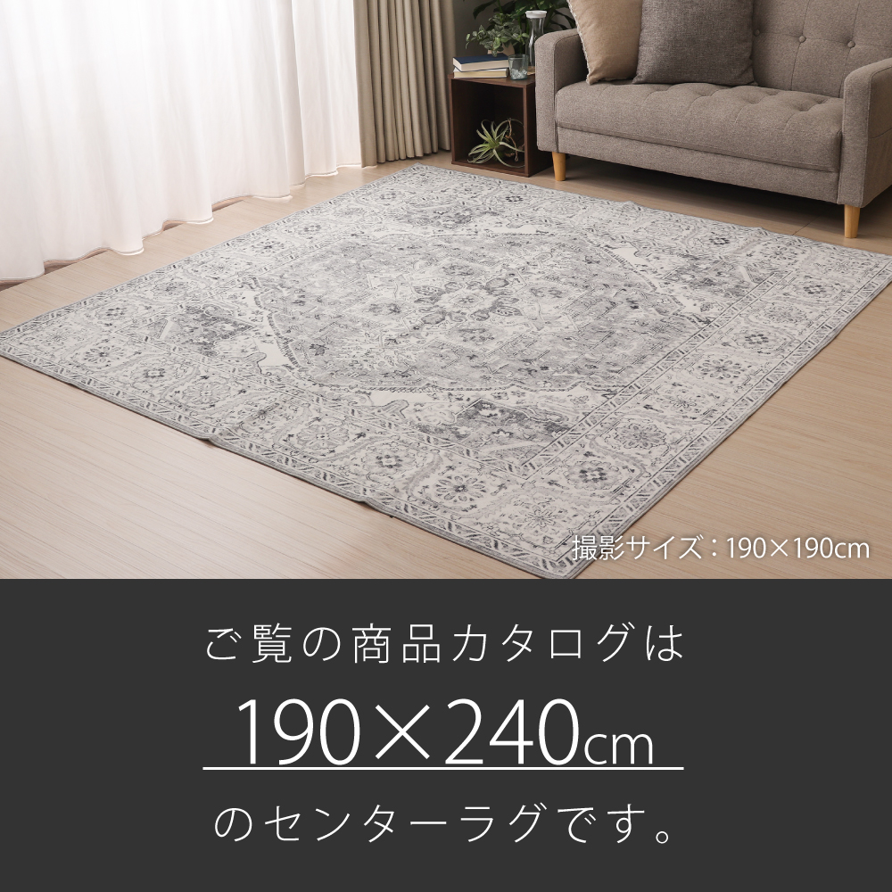 洗えるソフトタッチラグ 190×240cm 3畳用 長方形 2406508-5 メダリオン