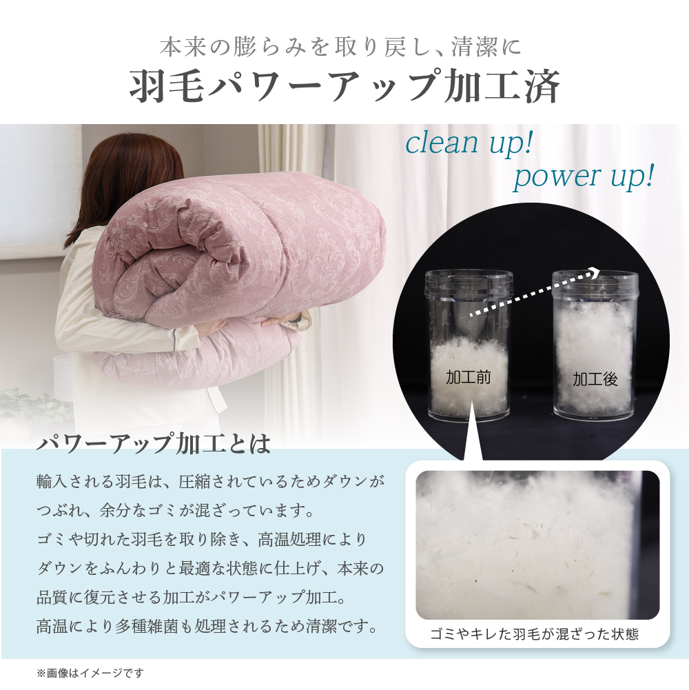 ポーランド産ホワイトダックダウン布団 150×210cm 羽毛布団 シングルロングサイズ 150×210cm ポーランド産ホワイトダック