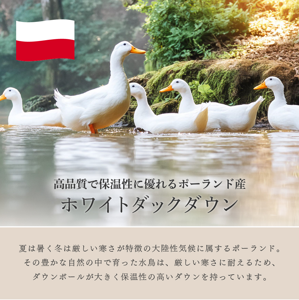 羽毛布団 シングルロングサイズ 150×210cm ポーランド産ホワイトダック