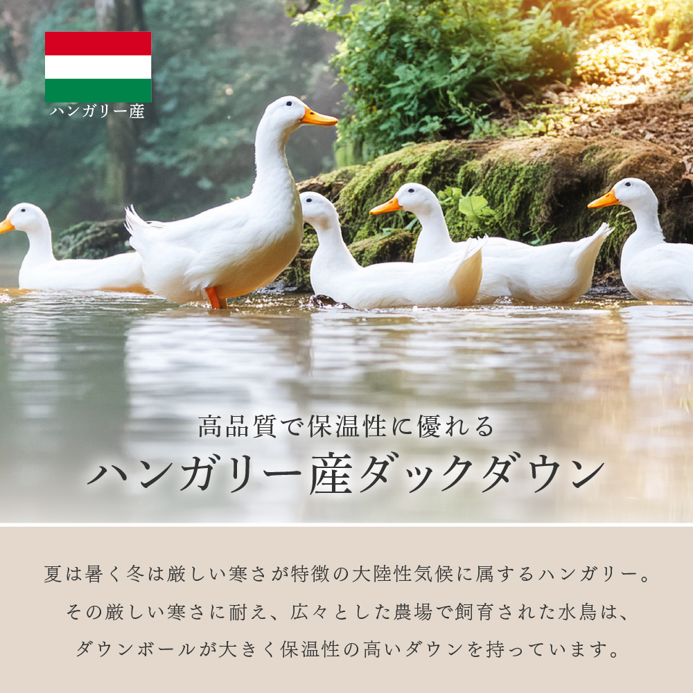羽毛布団 シングルロングサイズ 150×210cm ハンガリー産ホワイトダック