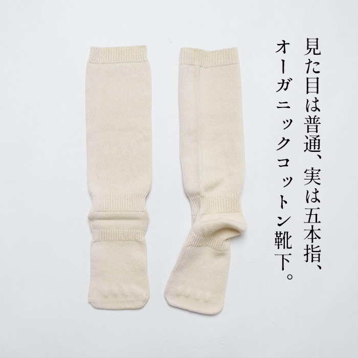 五本指靴下 日本製 レディース 五本指ソックス オーガニックコットン 不思議な 5本指 靴下 rakura 4200 爆買 |  | 01