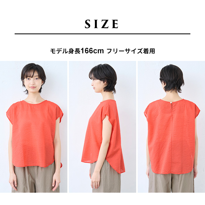 リボンタイブラウス 春夏 シアートップス TOKYO BASIC シアーシャツ シャツブラウス シアートップス 40代