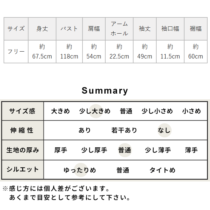 シャツ レディース ブラウス 長袖 40代 50代 日本製 近江晒 コットン100% バンドカラーシャツ | TOKYO BASIC | 21