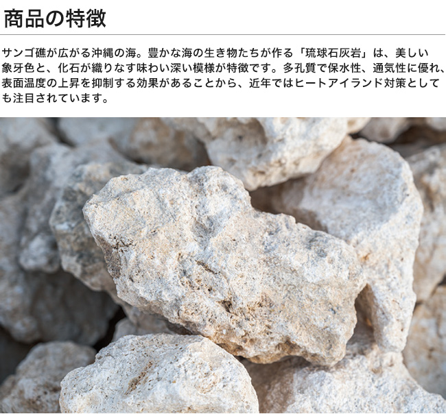 石灰岩 沖縄県産 日本製