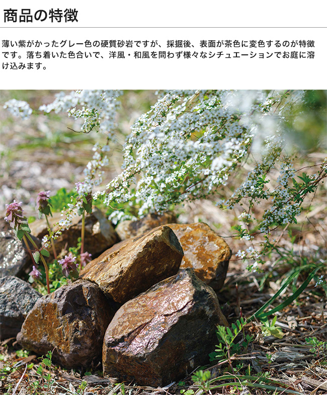 硬質砂岩 ききょう