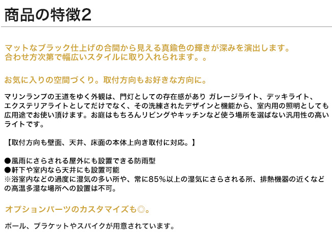 ゴーリキアイランド マリンライト 真鍮 船舶ライト
