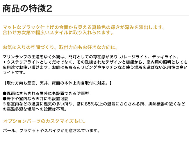 ゴーリキアイランド マリンライト 真鍮 船舶ライト