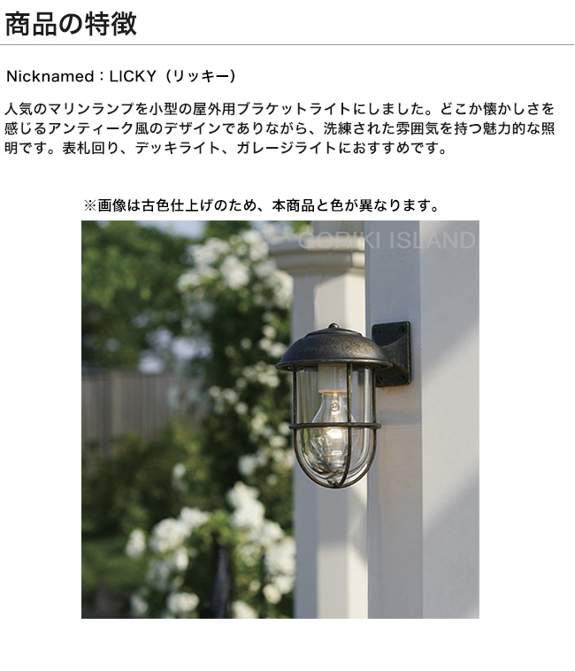 ゴーリキアイランド マリンライト 真鍮 船舶ライト