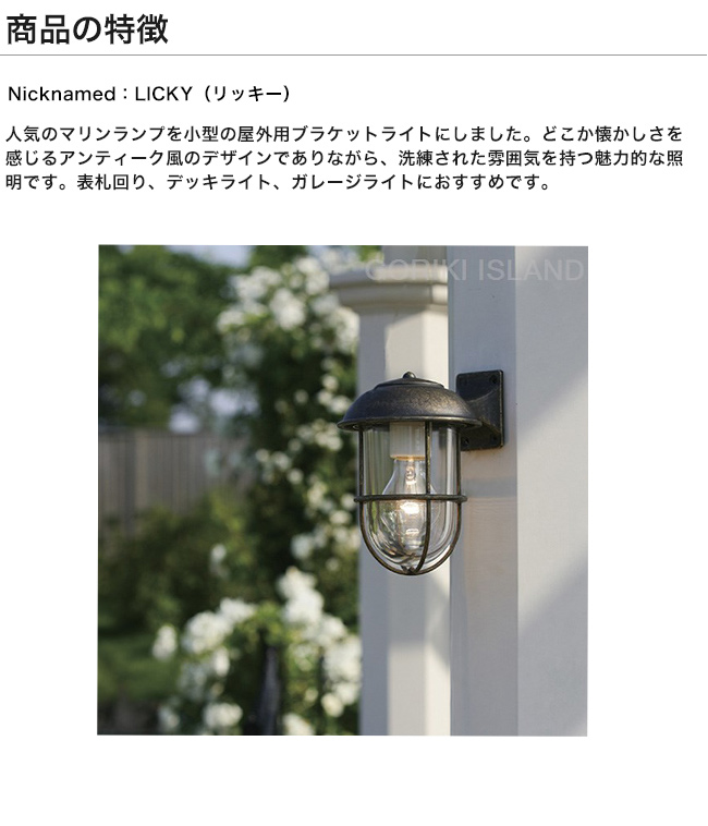 ゴーリキアイランド マリンライト 真鍮 船舶ライト