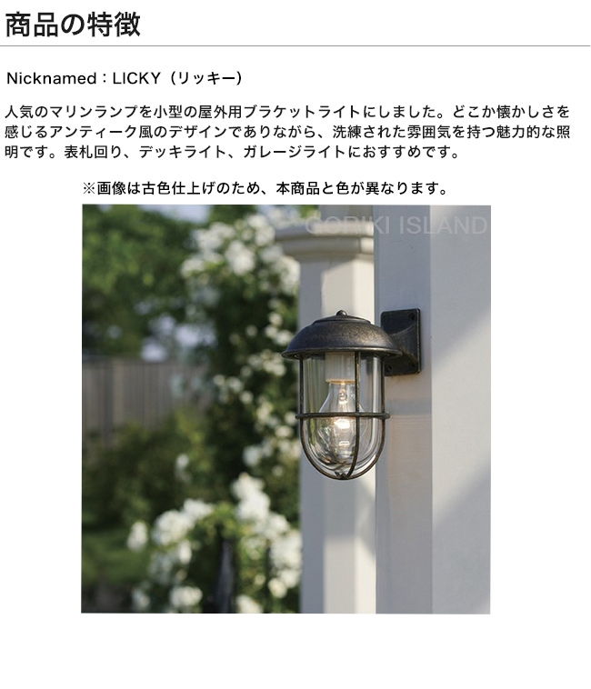 ゴーリキアイランド マリンライト 真鍮 船舶ライト