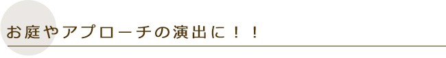 お庭やアプローチの演出に！！