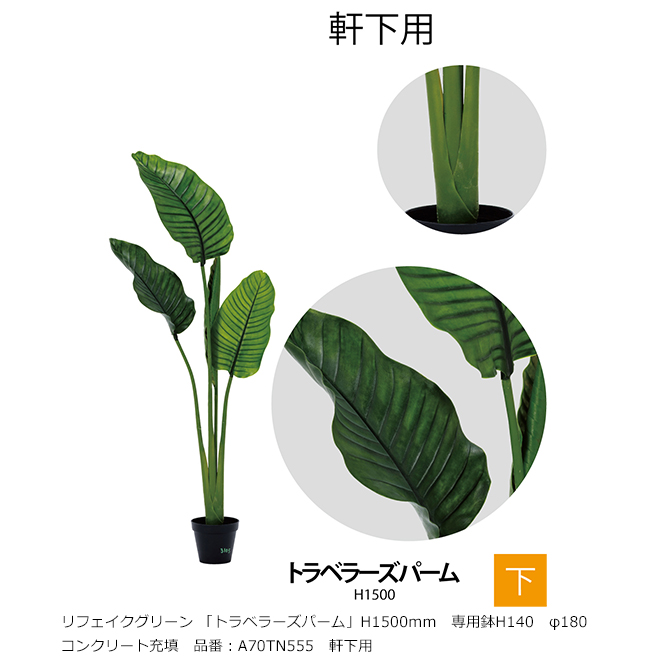 トラベラーズパーム ニトリ フェイク グリーン おすすめ トラベラーズ 