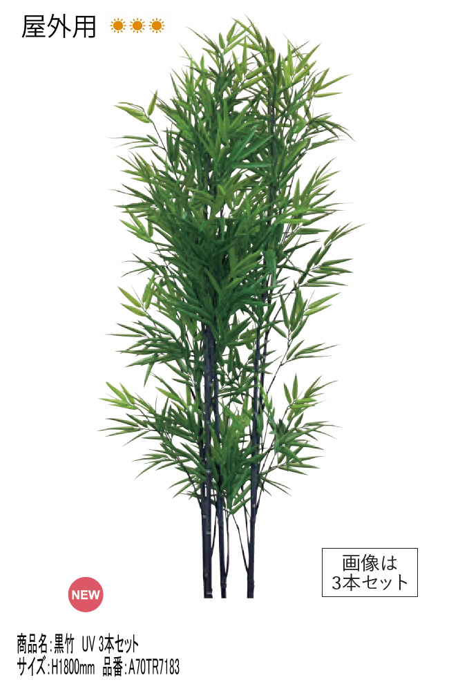 リフェイクグリーン 「黒竹UV 3本セット（台なし）」H1800mm 品番
