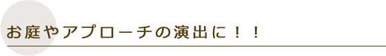 お庭やアプローチの演出に！！