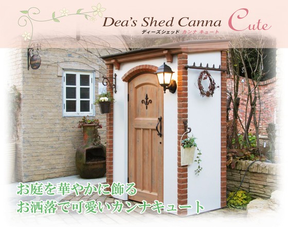canna cute