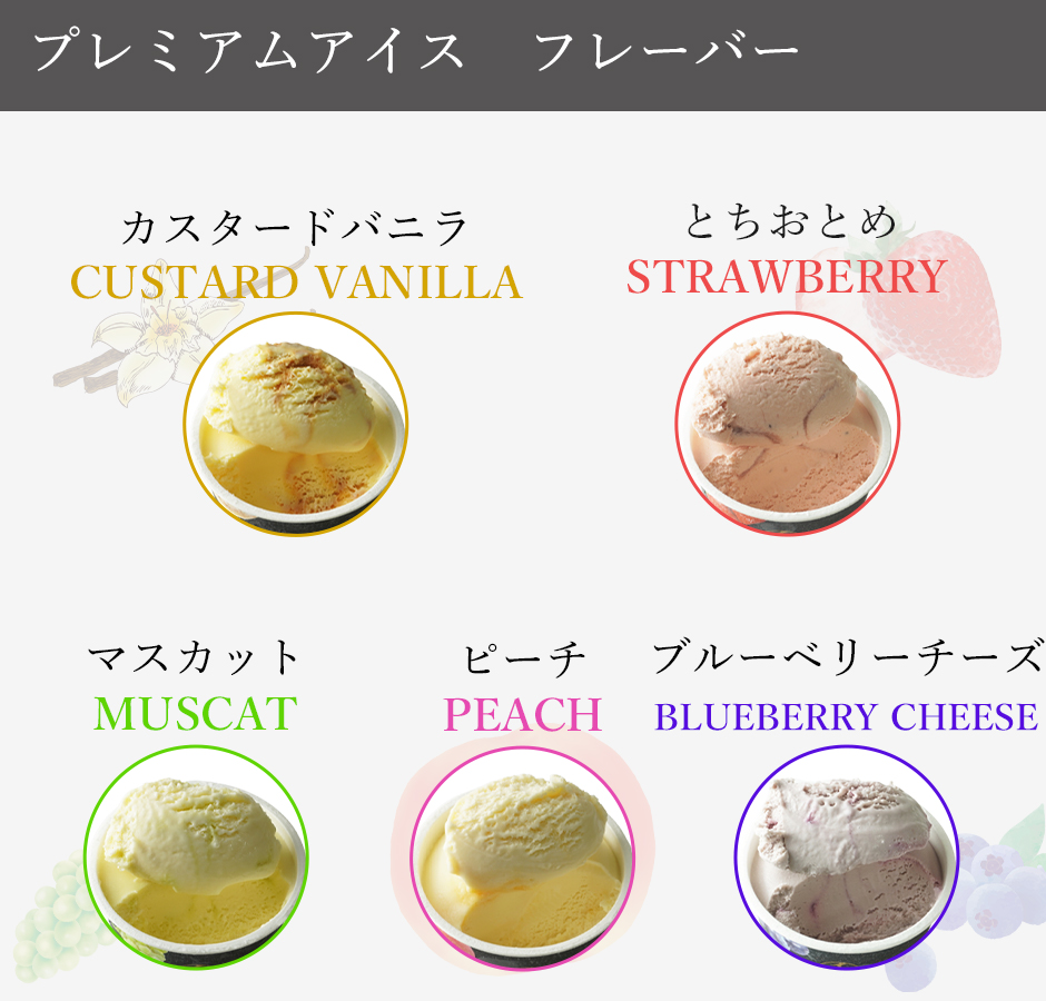 プレミアムソルベ フレーバー