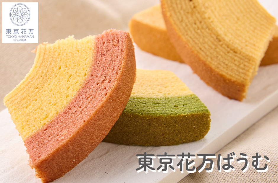 イントロ