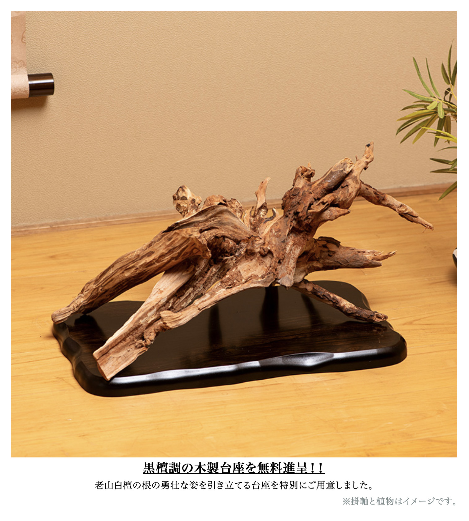 黒檀、その他高級木材の山 インド産 老山白檀 根 600g以上 本体 敷板付 インテリア 置物 オブジェ