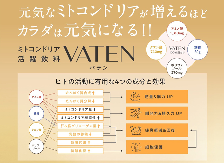 エナジー ドリンク 福光屋 VATEN バテン 100ml 10本 栄養ドリンク 無添加 ノンカフェイン 米麹 天然成分100％ ミトコンドリア  送料無料 : 8249358010 : 東京酒粋(トウキョウシュスイ) - 通販 - Yahoo!ショッピング