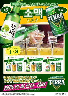 ビール 韓国 TERRA テラ ビール 缶 350ml 48本 眞露 JINRO 送料無料｜tokyo-syusui｜03