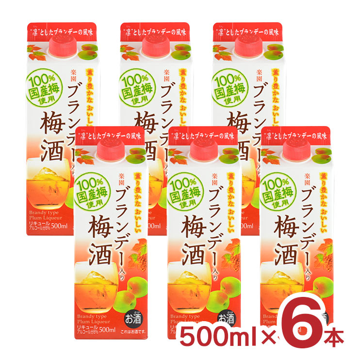 ブランデーベースリキュール 果実の酒用パック 1800ml 紙｜商品