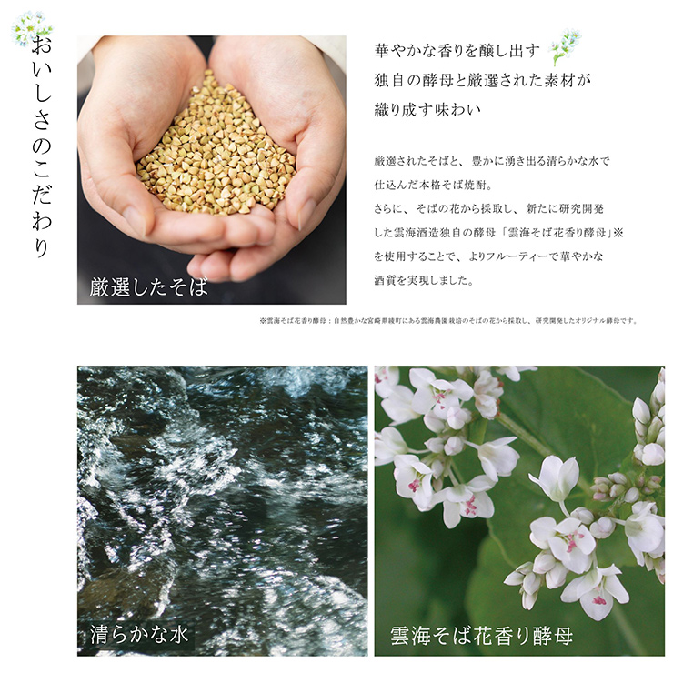 雲海酒造そば雲海_蕎麦焼酎